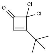 3-tert-butyl-4,4-dichlorocyclobut-2-enone Structure