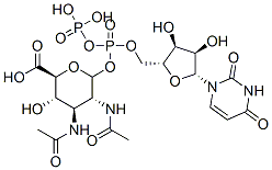 uridine 5'-diphospho-2,3-diacetamido-2,3-dideoxyglucopyranuronic acid|