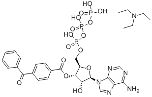2-3-(4-苯甲酰苯甲酰)腺苷 5-三磷酸三乙铵盐(-20°C),112898-15-4,结构式