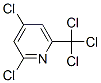 2,4-ジクロロ-6-(トリクロロメチル)ピリジン 化学構造式