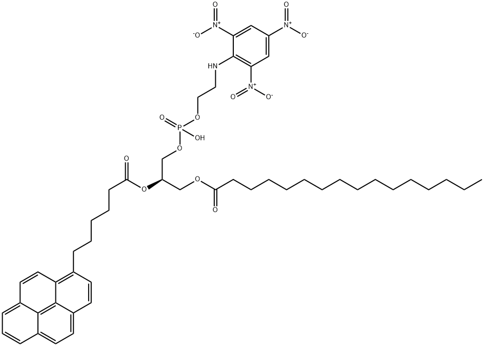 1-palmitoyl-2,6-(pyren-1-yl)hexanoyl-sn-glycero-3-phospho-N-(trinitrophenyl)aminoethanol Struktur