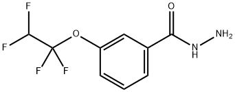 Benzhydrazide, 3-(1,1,2,2-tetrafluoroethoxy)-|苯甲酰肼,3-(1,1,2,2-四氟乙氧基)-