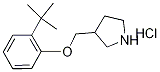 2-(tert-Butyl)phenyl 3-pyrrolidinylmethyl etherhydrochloride Struktur
