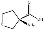 (S)-3-氨基四氢噻吩-3-羧酸, 114715-53-6, 结构式