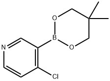 4-クロロ-3-(5,5-ジメチル-1,3,2-ジオキサボリナン-2-イル)ピリジン塩酸塩 化学構造式