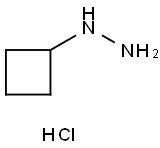 1156980-49-2 环丁基肼盐酸盐