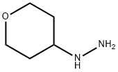 Tetrahydro-pyran-4-yl)-hydrazine Struktur