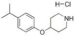 4-(4-ISOPROPYLPHENOXY)PIPERIDINE HYDROCHLORIDE Structure