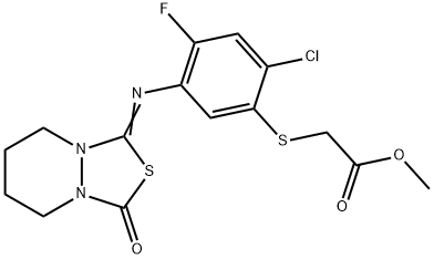 Methyl 2-[2-chloro-4-fluoro-5-[(3-oxo-5,6,7,8-tetrahydro-[1,3,4]thiadiazolo[3,4-a]pyridazin-1-ylidene)amino]phenyl]sulfanylacetate Struktur