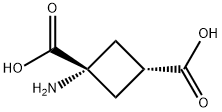 1-AMINOCYCLOBUTANE-CIS-1,3-DICARBOXYLIC ACID Structure