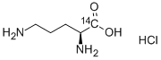 L-ORNITHINE-CARBOXY-14C HYDROCHLORIDE|