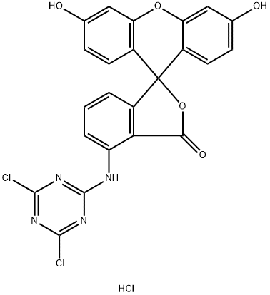 4-(4,6-ジクロロ-1,3,5-トリアジン-2-イルアミノ)-2-(6-ヒドロキシ-3-オキソ-3H-キサンテン-9-イル)安息香酸・塩酸塩 化学構造式