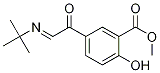 Methyl 5-[(tert-Butylimino)acetyl]salicylate Structure