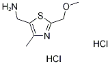 [2-(methoxymethyl)-4-methyl-1,3-thiazol-5-yl]methylamine dihydrochloride|