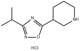 3-异丙基-5-(哌啶-3-基)-1,2,4-噁二唑盐酸盐, 1185296-16-5, 结构式