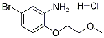 5-BROMO-2-(2-METHOXYETHOXY)ANILINE HYDROCHLORIDE Structure