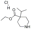 Ethyl 4-Isopropyl-4-piperidinecarboxylate Hydrochloride Struktur