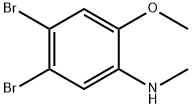 N-METHYL 4,5-DIBROMO-2-METHOXYANILINE, 1187386-09-9, 结构式