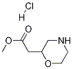 METHYL 2-(MORPHOLIN-2-YL)ACETATE HCL Structure