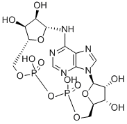 環状アデノシン二リン酸リボース 化学構造式