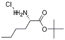 Norleucine tert-butyl ester hydrochloride Structure