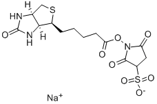 生物素 3-磺酸基-N-羟基琥珀酰亚胺钠盐,119616-38-5,结构式