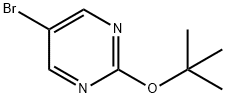 5-ブロモ-2-(TERT-ブトキシ)ピリミジン 化学構造式