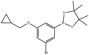 3-ブロモ-5-(シクロプロピルメトキシ)フェニルボロン酸ピナコールエステル 化学構造式