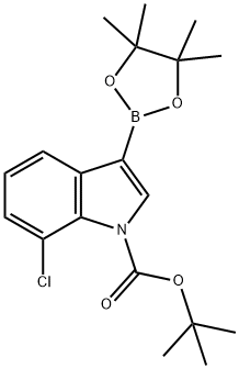 1-BOC-7-クロロインドール-3-ボロン酸ピナコールエステル 化学構造式