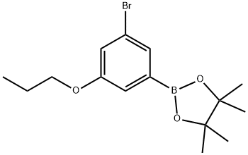 3-ブロモ-5-プロポキシフェニルボロン酸ピナコールエステル 化学構造式