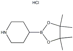 Piperidine-4-boronic acid pinacol ester HCl Structure