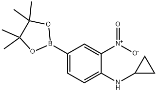 4-CYCLOPROPYLAMINO-3-NITROPHENYLBORONIC ACID, PINACOL ESTER 结构式