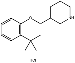 2-(tert-Butyl)phenyl 3-piperidinylmethyl etherhydrochloride Structure