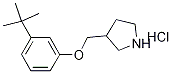 3-(tert-Butyl)phenyl 3-pyrrolidinylmethyl etherhydrochloride Structure
