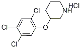 3-(2,4,5-Trichlorophenoxy)piperidine hydrochloride|