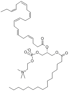 L-A-PHOSPHATIDYLCHOLINE, B-DOCOSA-*HEXAENOYL-GAMMA-P Struktur