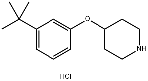 4-[3-(tert-Butyl)phenoxy]piperidine hydrochloride Struktur
