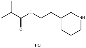 2-(3-Piperidinyl)ethyl 2-methylpropanoatehydrochloride|