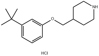 3-(tert-Butyl)phenyl 4-piperidinylmethyl etherhydrochloride Structure