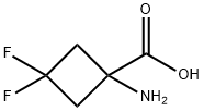1-amino-3,3-difluoro-cyclobutane carboxylicacid Structure