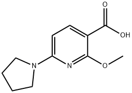 2-Methoxy-6-(pyrrolidin-1-yl)nicotinic acid,1228665-72-2,结构式