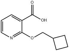 2-(Cyclobutylmethoxy)pyridine-3-carboxylic acid Struktur