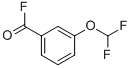 Benzoyl fluoride, 3-(difluoromethoxy)- (9CI) Structure
