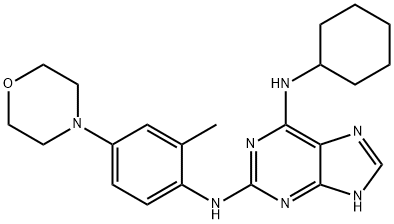 1246529-32-7 N6-环己基-N2-(2-甲基-4-吗啉苯基)-9H-嘌呤-2,6-二胺
