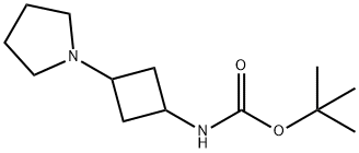 tert-butyl 3-(pyrrolidin-1-yl)cyclobutylcarbaMate Structure