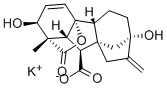 2β,7-ジヒドロキシ-1-メチル-8-メチレン-13-オキソ-4aα,1α-(エポキシメタノ)ギバ-3-エン-10β-カルボン酸カリウム 化学構造式