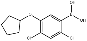 2,4-디클로로-5-(시클로펜틸옥시)페닐보론산