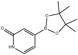 2-HYDROXYPYRIDINE-4-BORONIC ACID PINACOL ESTER, 1256358-90-3, 结构式