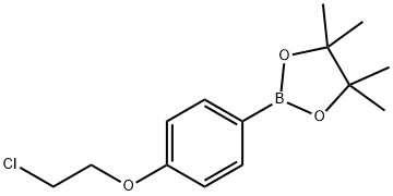 2-[4-(2-氯乙氧基)苯基]-4,4,5,5-四甲基-1,3,2-二氧杂环戊硼烷 结构式