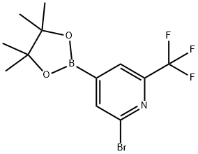 2-溴-6-三氟甲基吡啶-4-硼酸频那醇酯, 1256360-49-2, 结构式
